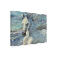 Трговска марка ликовна уметност „Посејдон бел коњ“ платно уметност од Албена Христова