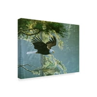 Трговска марка ликовна уметност „шумски лет орел“ платно уметност од Рон Паркер