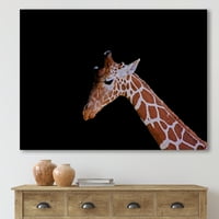 Портрет на жирафа на црна позадина јас сликам платно уметнички принт