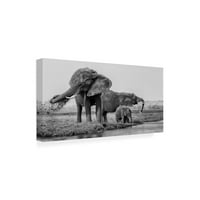 Филип Чанг „Семејството на слоновите“ уметност