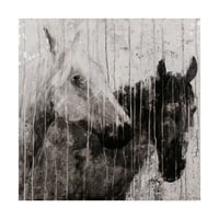 Заштитена марка ликовна уметност „Парна коњи“ платно уметност од Мет Флин
